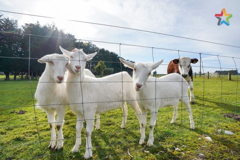 Photo of property in 98 Tramway East, Edendale, Wyndham, 9893