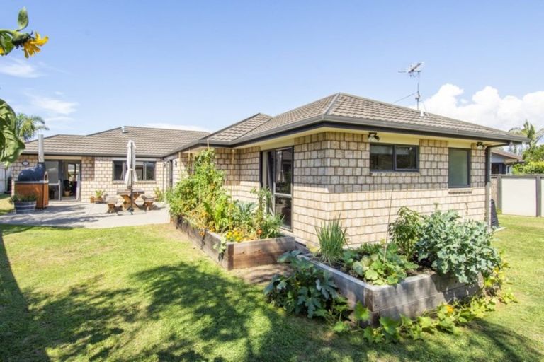 Photo of property in 176 Hollister Lane, Ohauiti, Tauranga, 3112