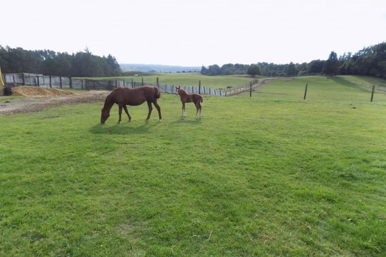 Photo of property in 466 Soldiers Road, Lower Kaimai, Tauranga, 3171
