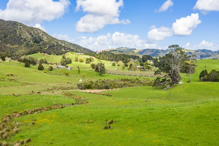 Photo of property in 315 Old Kaipara Road, Kaipara Flats, Warkworth, 0981