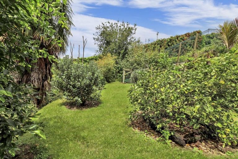Photo of property in 21 Plummer Road, Whakamarama, Tauranga, 3179