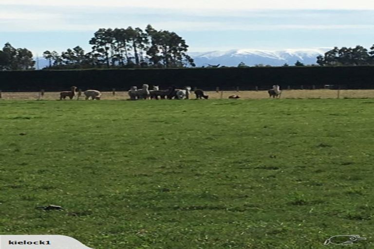 Photo of property in 3/1101 Greendale Road, Darfield, 7571