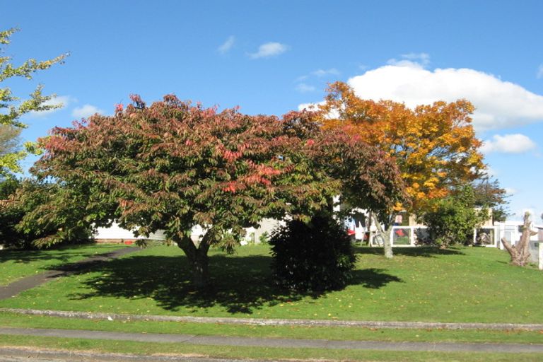 Photo of property in 11 Cairngorm Place, Tokoroa, 3420