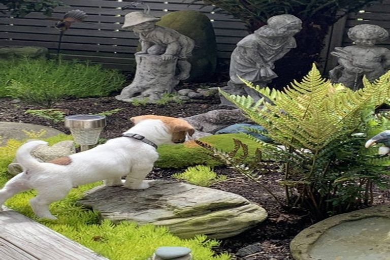 Photo of property in 44 Stewart Street, Balclutha, 9230