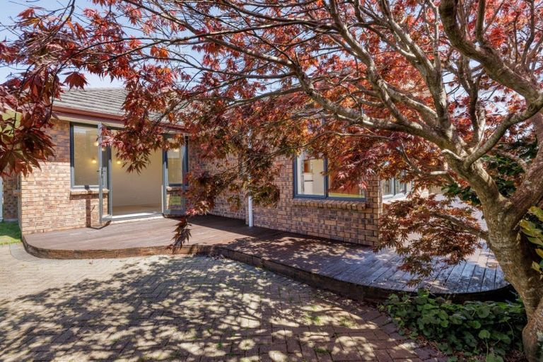 Photo of property in 41 Pyes Pa Road, Pyes Pa, Tauranga, 3112