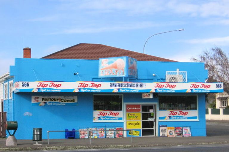 Photo of property in 566 Church Street, Terrace End, Palmerston North, 4410