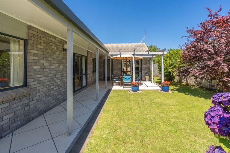 Photo of property in 63 Endeavour Avenue, Flagstaff, Hamilton, 3210