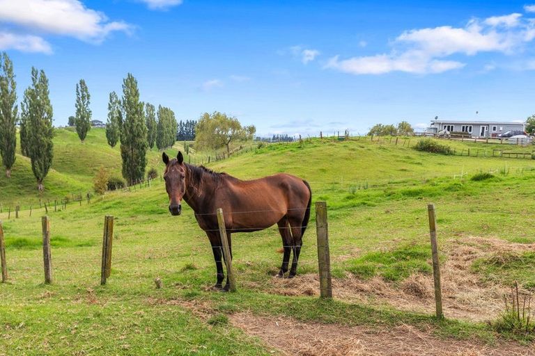 Photo of property in 953a Maniatutu Road, Pongakawa, Te Puke, 3186