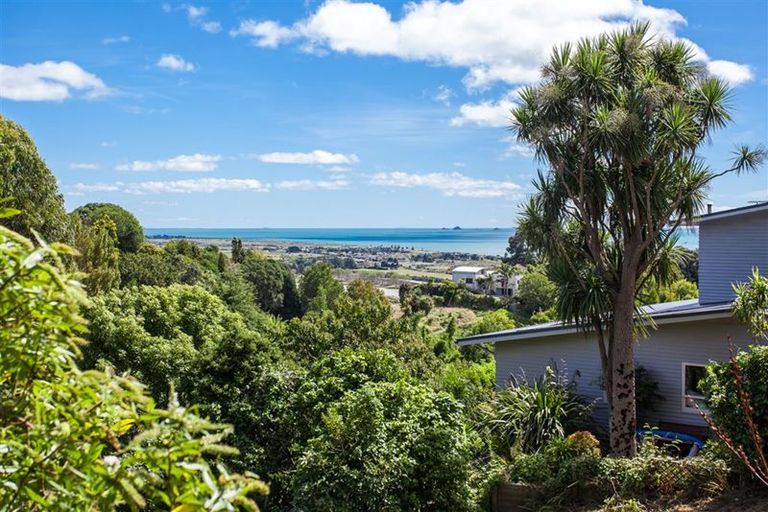 Photo of property in 10a Hurinui Avenue, Whakatane, 3120