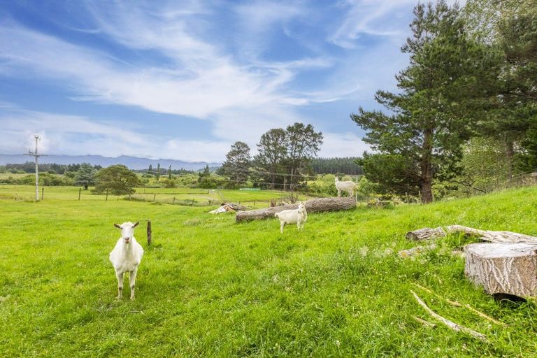 Photo of property in 10 Tukituki Road, Ashley Clinton, Takapau, 4286