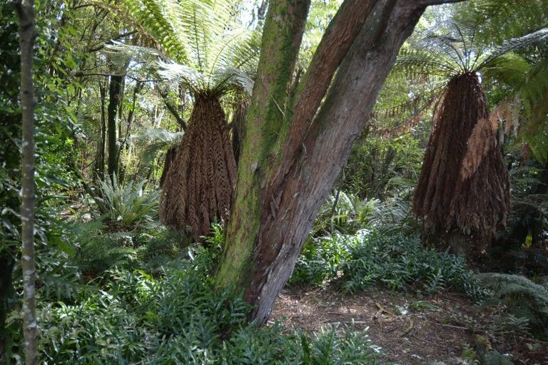 Photo of property in 33 Rakiura Parade, Otatara, Invercargill, 9879