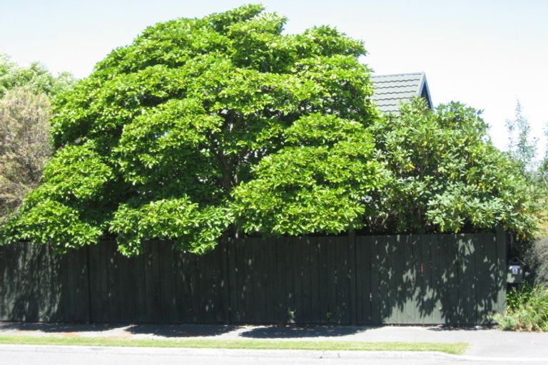 Photo of property in 1/104 Rugby Street, Merivale, Christchurch, 8014