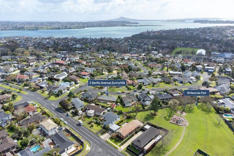 Photo of property in 3 Serrita Avenue, Sunnyhills, Auckland, 2010