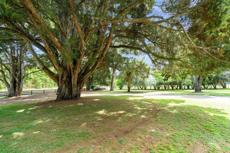 Photo of property in 16 Kokopu Block Road, Maungatapere, Whangarei, 0179