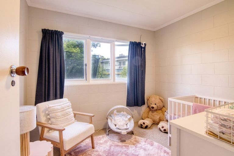 Photo of property in 493 Ruahine Street, Terrace End, Palmerston North, 4410