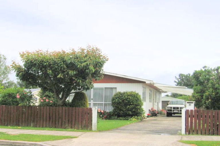 Photo of property in 111 Miro Street, Ohakune, 4625