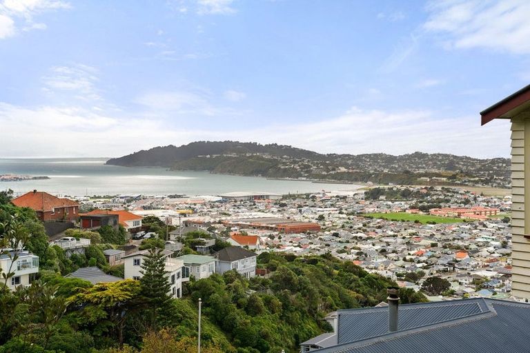 Photo of property in 59 Hornsey Road, Melrose, Wellington, 6023