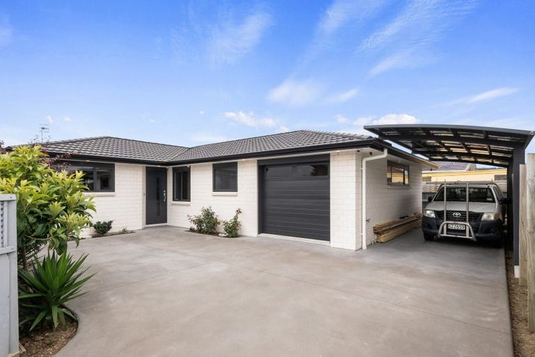 Photo of property in 162b Winchester Street, Levin, 5510