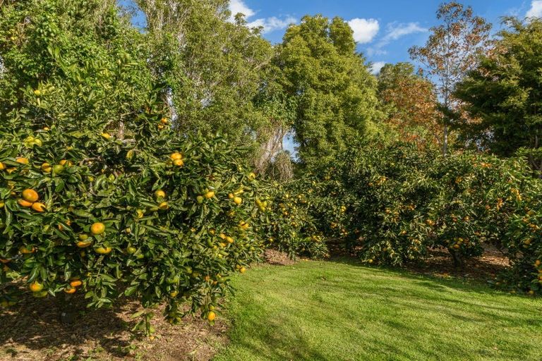 Photo of property in 86 Prole Road, Omokoroa, Tauranga, 3172