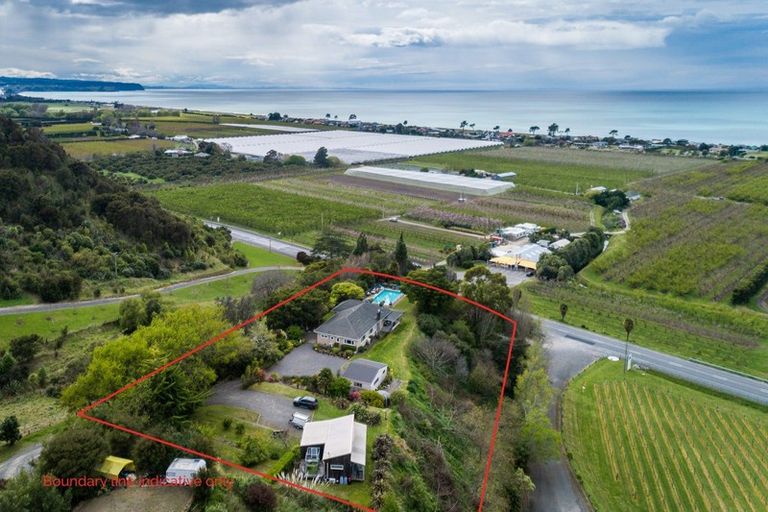 Photo of property in 755 Main North Road, Bay View, Napier, 4182