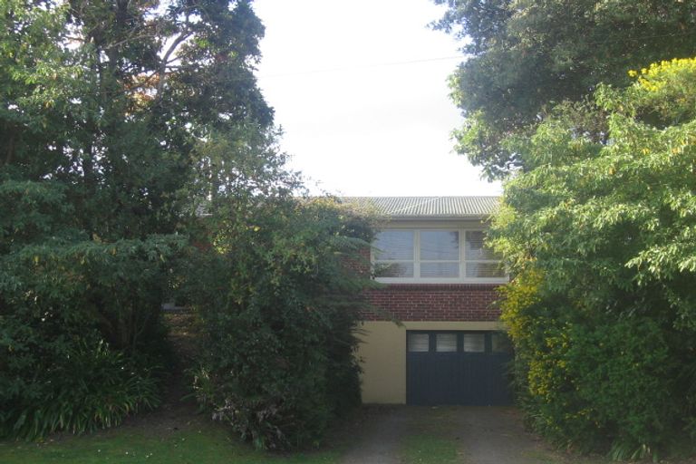 Photo of property in 3 Jackson Street, Springfield, Rotorua, 3015