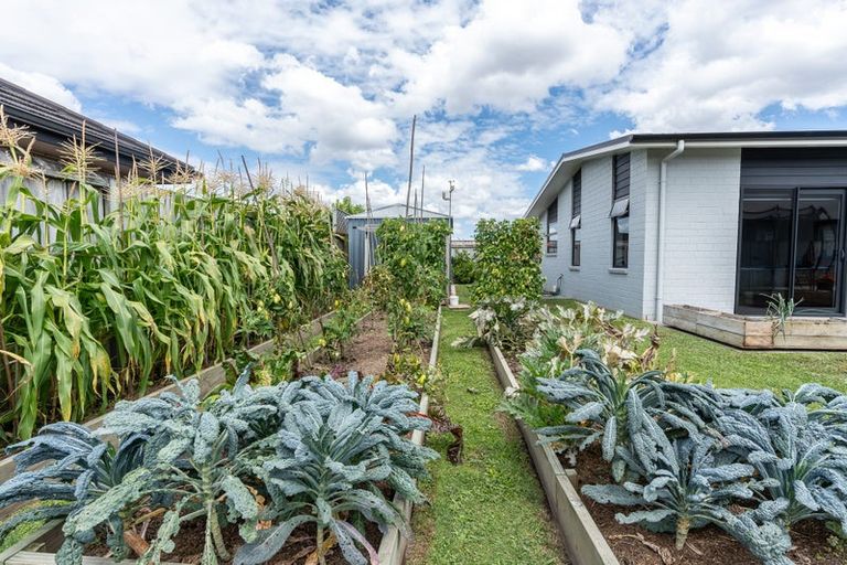 Photo of property in 224 Cumberland Drive, Flagstaff, Hamilton, 3210