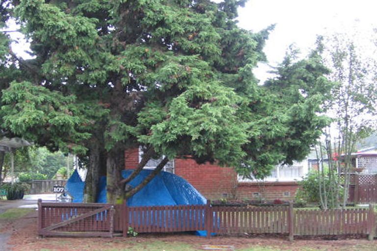 Photo of property in 107 Farquhar Road, Glendene, Auckland, 0602