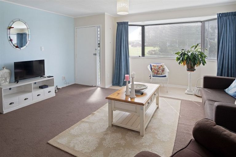 Photo of property in 19 Hillcrest Street, Tirau, 3410