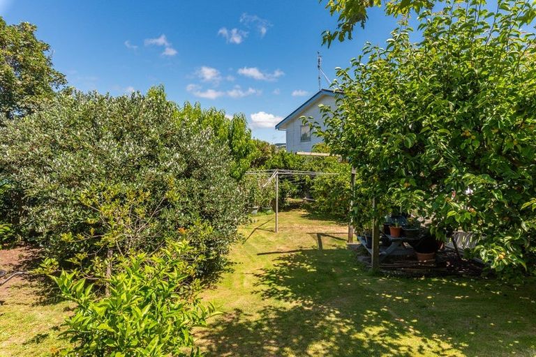 Photo of property in 4 Elder Grove, Paraparaumu, 5032