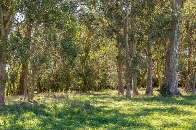 Photo of property in 357a Kahutara Road, Kahutara, 5771