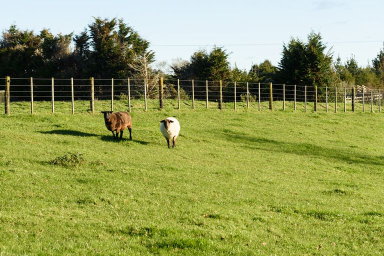 Photo of property in 48 Belk Road South, Omanawa, Tauranga, 3173