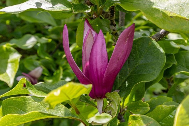 Photo of property in 19 Plantation Road, Rangiriri, Te Kauwhata, 3782