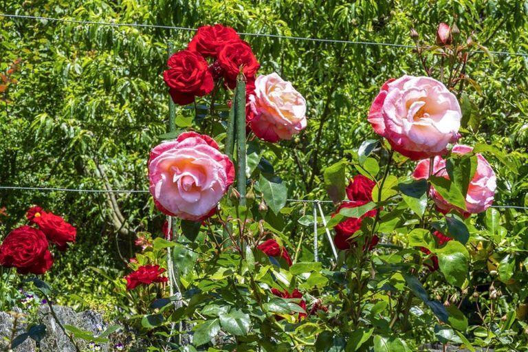 Photo of property in 11a Thames Street, Welbourn, New Plymouth, 4310