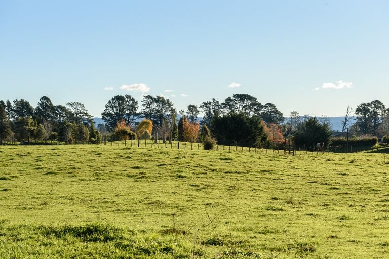 Photo of property in 48 Belk Road South, Omanawa, Tauranga, 3173