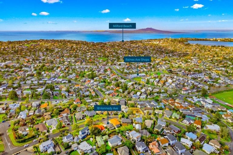 Photo of property in 18 Kennedy Avenue, Forrest Hill, Auckland, 0620