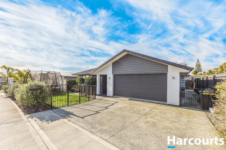 Photo of property in 5 Julius Place, Richmond, 7020