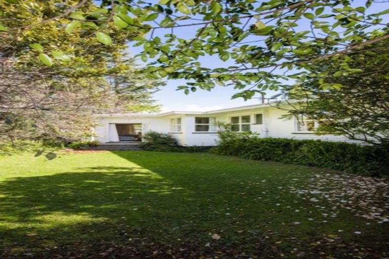 Photo of property in 31 Iranui Road, Inner Kaiti, Gisborne, 4010