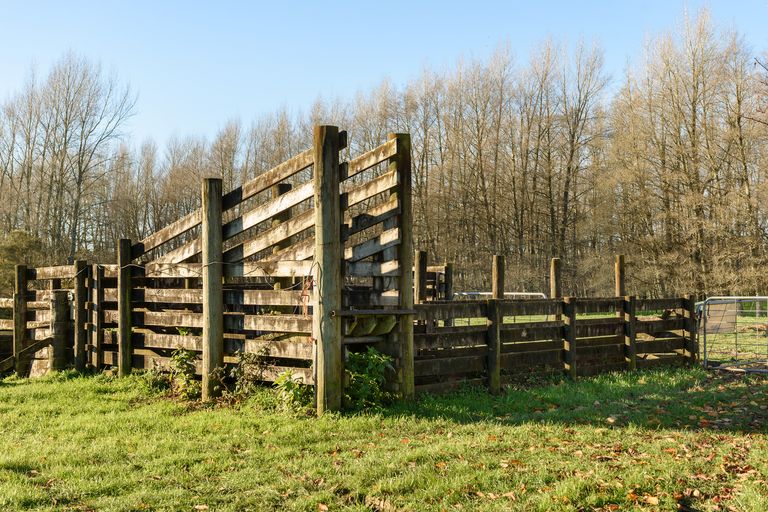 Photo of property in 48 Belk Road South, Omanawa, Tauranga, 3173