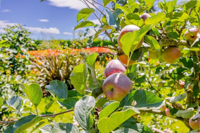 Photo of property in 112a Mount Herbert Road, Waipukurau, 4200