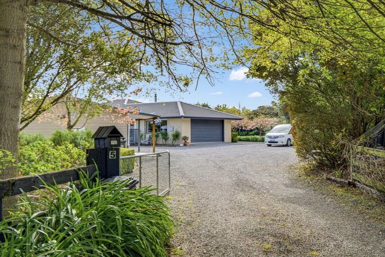 Photo of property in 5 Newton Place, Amberley, 7410