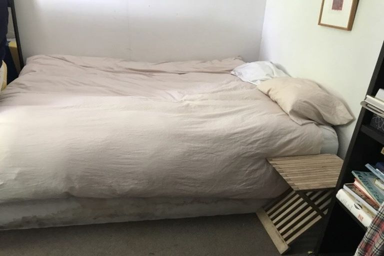 Photo of property in 10 Niger Street, Grey Lynn, Auckland, 1021