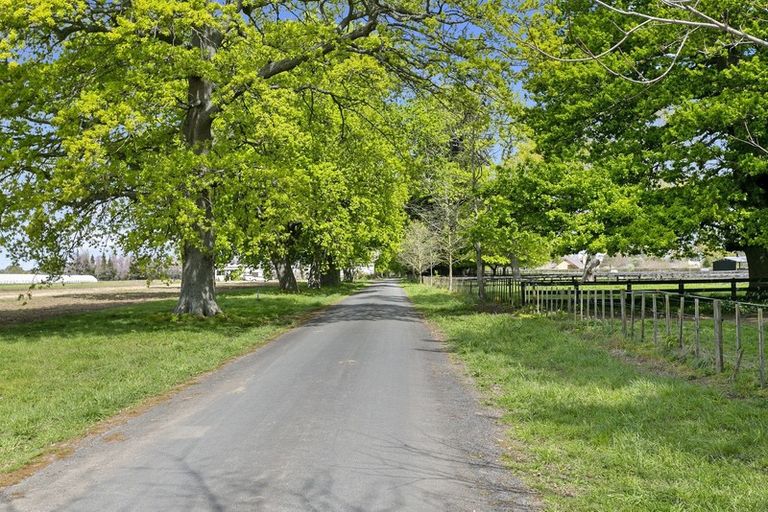 Photo of property in 491b Bruntwood Road, Tamahere, Cambridge, 3493