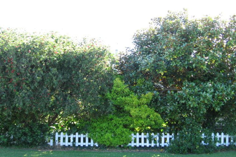 Photo of property in 227 Clifford Street, Whataupoko, Gisborne, 4010