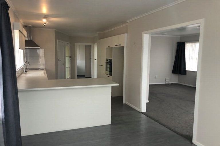 Photo of property in 14 Weka Place, Tokoroa, 3420