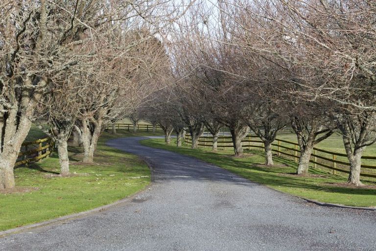 Photo of property in 558 Palmer Mill Road, Wairakei, Taupo, 3384