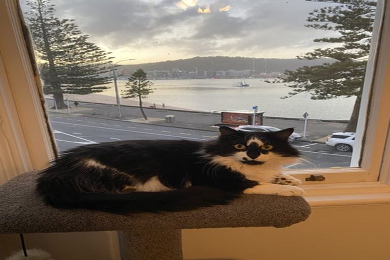 Photo of property in 240 Oriental Parade, Oriental Bay, Wellington, 6011