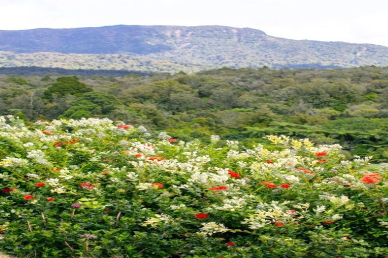 Photo of property in 854 Wright Road, Aongatete, Katikati, 3181