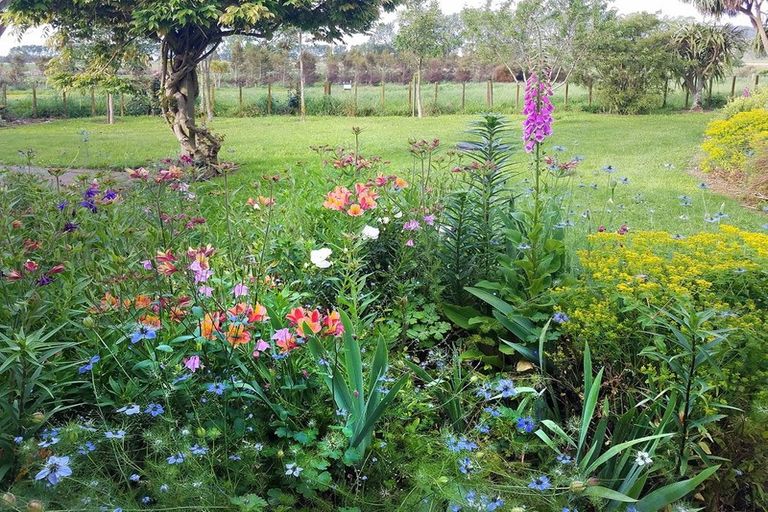 Photo of property in 33 Mokena Kohere Street, Manakau, Levin, 5573