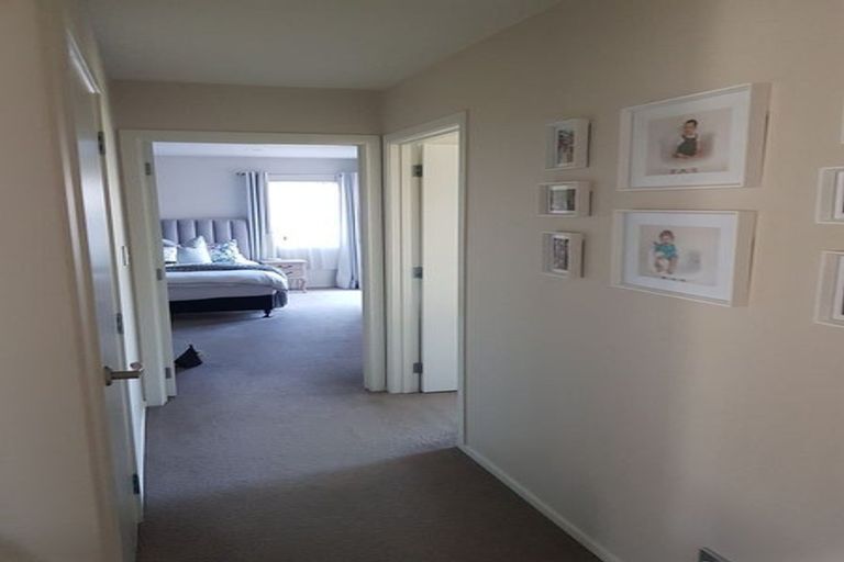 Photo of property in 14 Hartford Terrace, Huntington, Hamilton, 3210