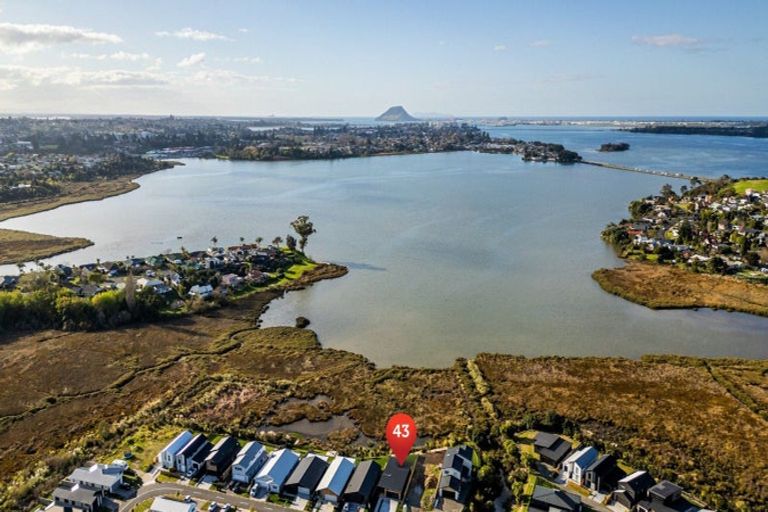 Photo of property in 43 Hinaki Street, Poike, Tauranga, 3112